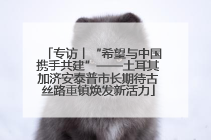 专访丨“希望与中国携手共建”——土耳其加济安泰普市长期待古丝路重镇焕发新活力