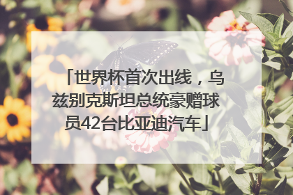 世界杯首次出线，乌兹别克斯坦总统豪赠球员42台比亚迪汽车