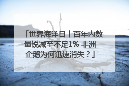 世界海洋日丨百年内数量锐减至不足1% 非洲企鹅为何迅速消失？