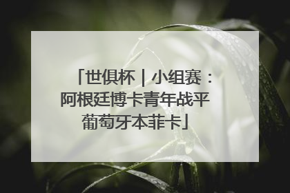 世俱杯｜小组赛：阿根廷博卡青年战平葡萄牙本菲卡