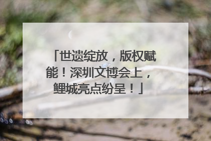 世遗绽放，版权赋能！深圳文博会上，鲤城亮点纷呈！