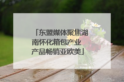 东盟媒体聚焦湖南怀化箱包产业 产品畅销亚欧美
