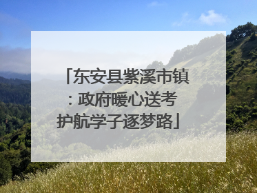 东安县紫溪市镇：政府暖心送考 护航学子逐梦路