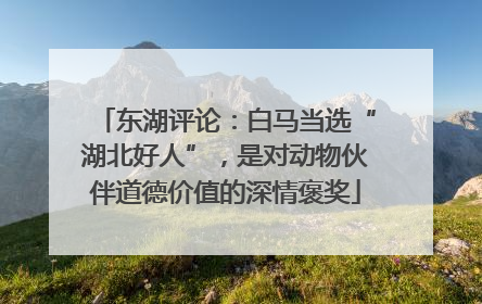 东湖评论：白马当选“湖北好人”，是对动物伙伴道德价值的深情褒奖