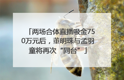 两场合体直播吸金750万元后，董明珠与孟羽童将再次“同台”