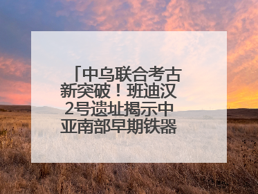 中乌联合考古新突破！班迪汉2号遗址揭示中亚南部早期铁器时代城邦文明