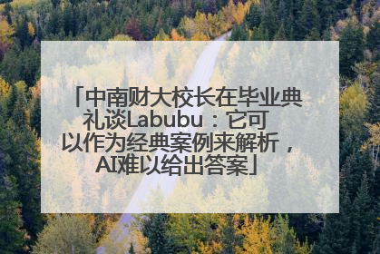 中南财大校长在毕业典礼谈Labubu：它可以作为经典案例来解析，AI难以给出答案