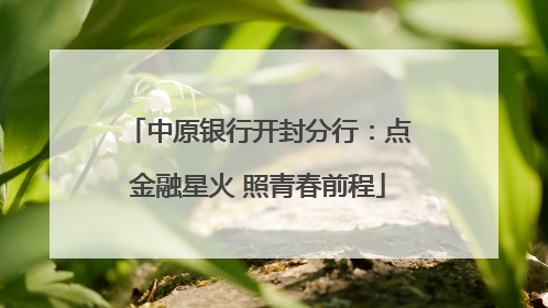 中原银行开封分行：点金融星火 照青春前程