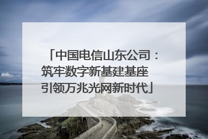 中国电信山东公司：筑牢数字新基建基座 引领万兆光网新时代
