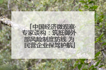 中国经济微观察·专家谈构：筑抵御外部风险制度防线 为民营企业保驾护航