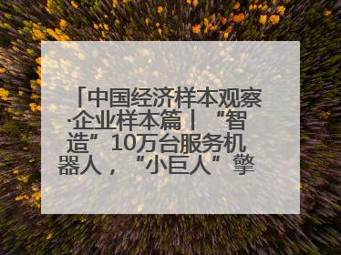 中国经济样本观察·企业样本篇丨“智造”10万台服务机器人，“小巨人”擎朗有大梦想