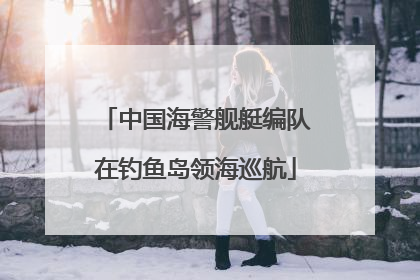 中国海警舰艇编队在钓鱼岛领海巡航