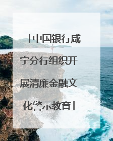 中国银行咸宁分行组织开展清廉金融文化警示教育