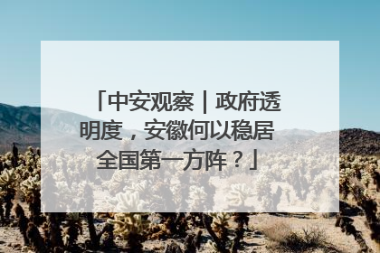 中安观察｜政府透明度，安徽何以稳居全国第一方阵？