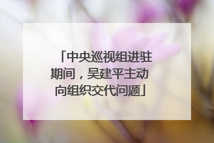 中央巡视组进驻期间，吴建平主动向组织交代问题