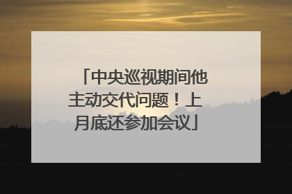中央巡视期间他主动交代问题！上月底还参加会议