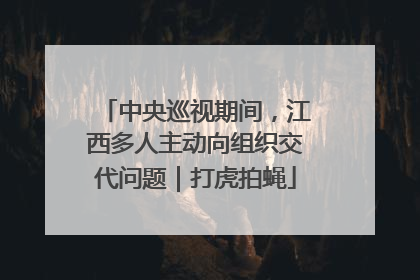 中央巡视期间，江西多人主动向组织交代问题｜打虎拍蝇