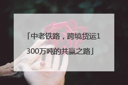 中老铁路，跨境货运1300万吨的共赢之路
