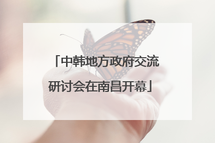 中韩地方政府交流研讨会在南昌开幕