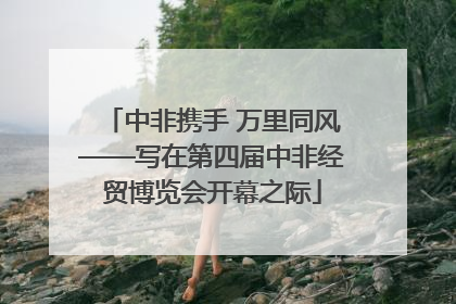 中非携手 万里同风——写在第四届中非经贸博览会开幕之际