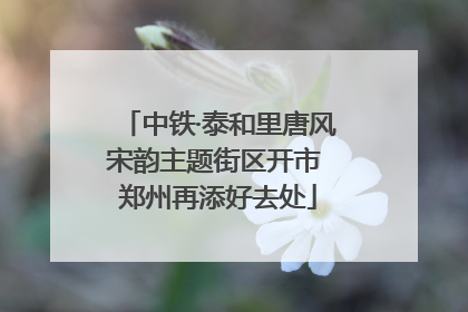 中铁·泰和里唐风宋韵主题街区开市 郑州再添好去处