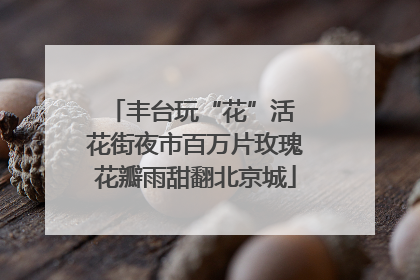 丰台玩“花”活 花街夜市百万片玫瑰花瓣雨甜翻北京城