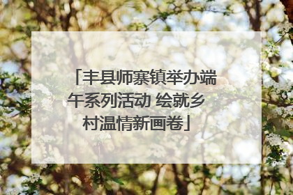 丰县师寨镇举办端午系列活动 绘就乡村温情新画卷