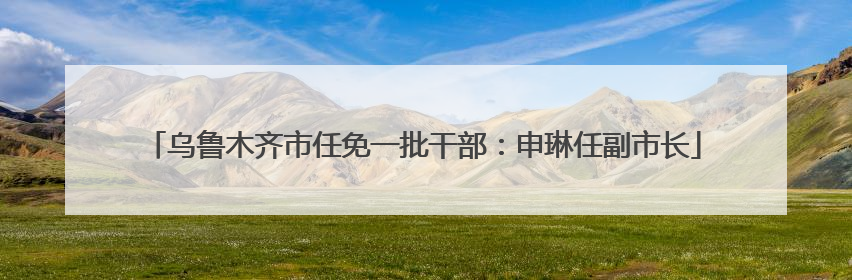 乌鲁木齐市任免一批干部：申琳任副市长