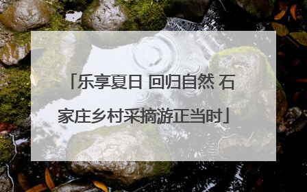 乐享夏日 回归自然 石家庄乡村采摘游正当时