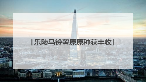 乐陵马铃薯原原种获丰收