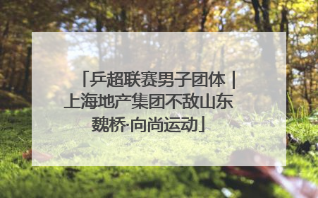 乒超联赛男子团体｜上海地产集团不敌山东魏桥·向尚运动