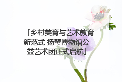 乡村美育与艺术教育新范式 扬琴博物馆公益艺术团正式启航