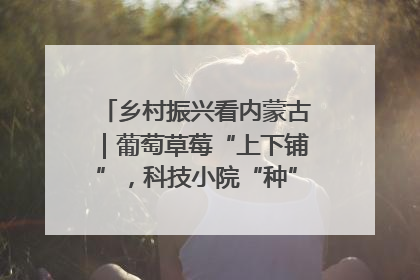 乡村振兴看内蒙古｜葡萄草莓“上下铺”，科技小院“种”出三倍效益