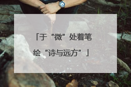 于“微”处着笔 绘“诗与远方”