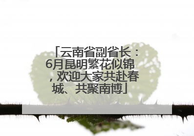 云南省副省长：6月昆明繁花似锦，欢迎大家共赴春城、共聚南博