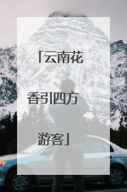 云南花香引四方游客