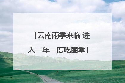 云南雨季来临 进入一年一度吃菌季