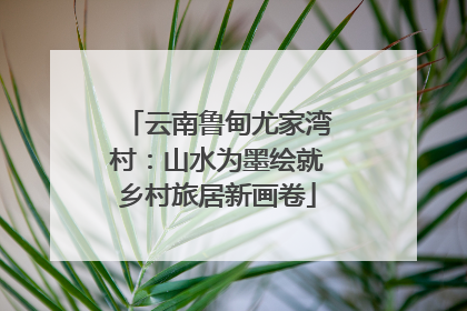 云南鲁甸尤家湾村：山水为墨绘就乡村旅居新画卷