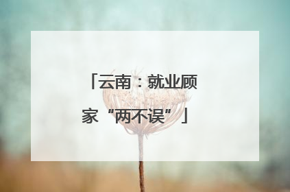 云南：就业顾家“两不误”
