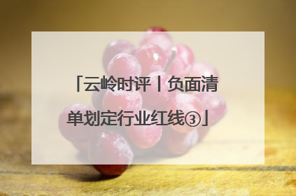 云岭时评丨负面清单划定行业红线③