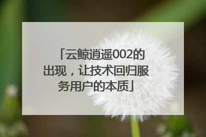 云鲸逍遥002的出现，让技术回归服务用户的本质