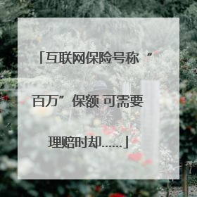 互联网保险号称“百万”保额 可需要理赔时却……