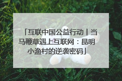 互联中国公益行动丨当马鞭草遇上互联网：昆明小渔村的逆袭密码