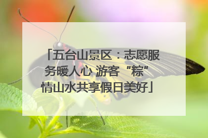 五台山景区：志愿服务暖人心 游客“粽”情山水共享假日美好