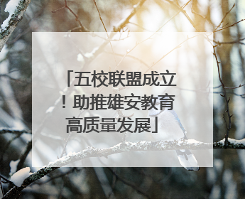 五校联盟成立！助推雄安教育高质量发展