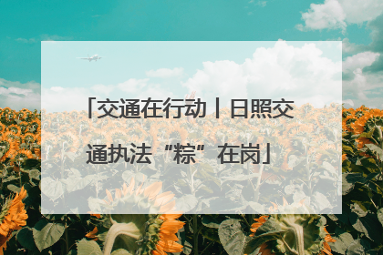 交通在行动丨日照交通执法“粽”在岗