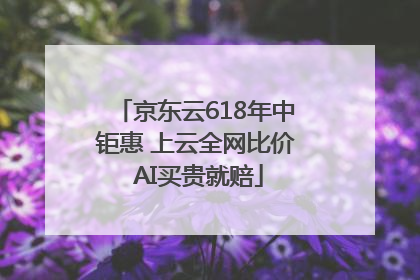 京东云618年中钜惠 上云全网比价 AI买贵就赔