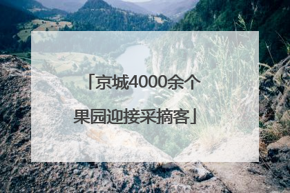 京城4000余个果园迎接采摘客