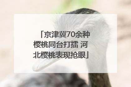 京津冀70余种樱桃同台打擂 河北樱桃表现抢眼