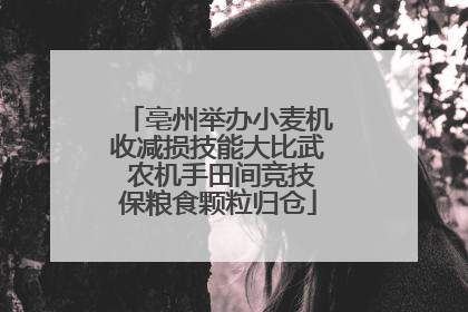 亳州举办小麦机收减损技能大比武 农机手田间竞技保粮食颗粒归仓